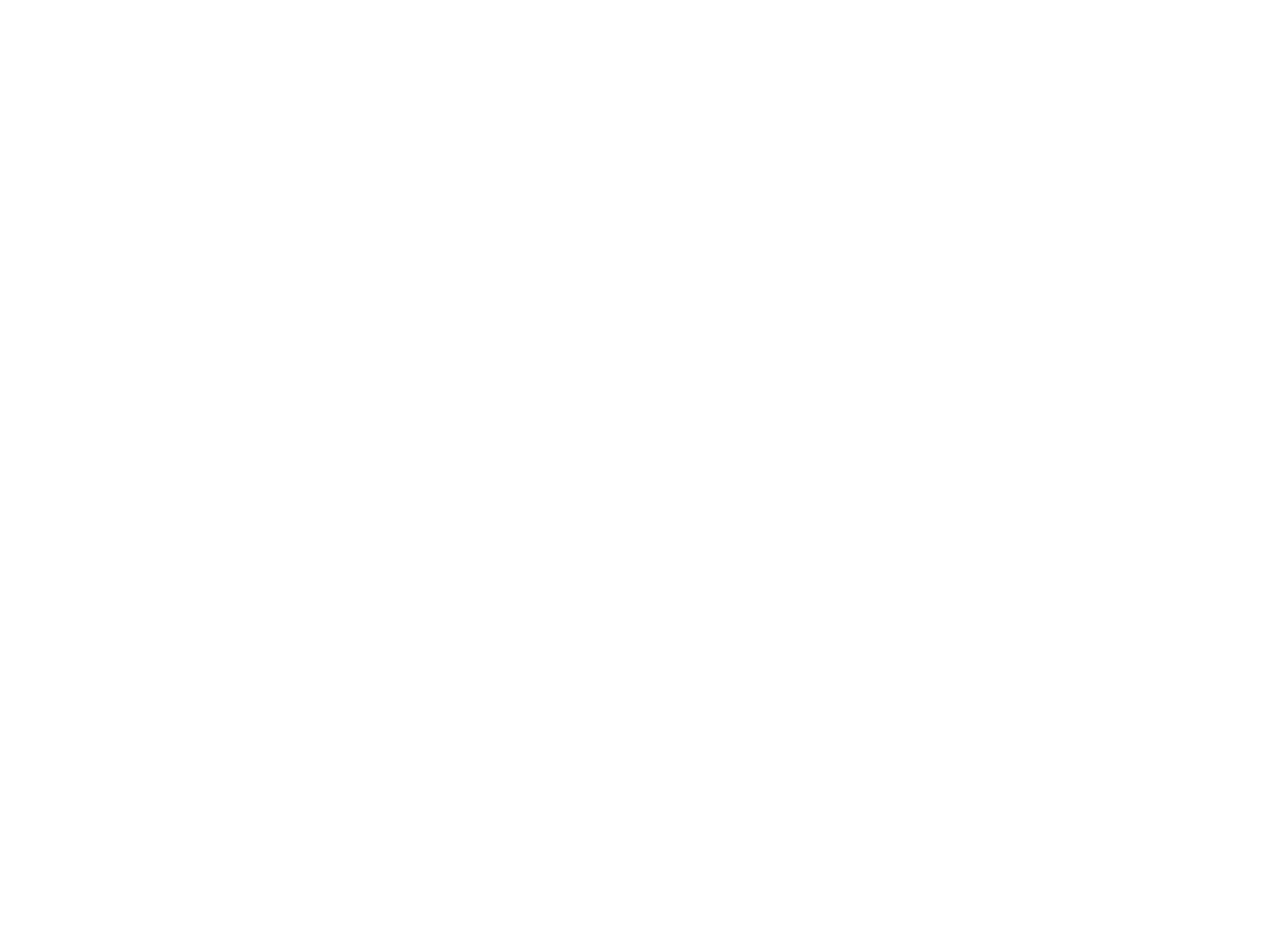 Electronity White logo 2400x1800